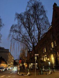 IMG_1033